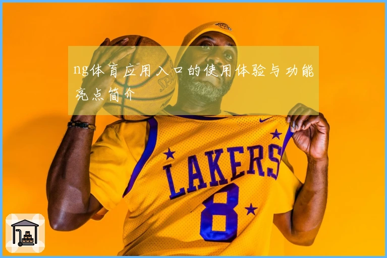 ng体育应用入口的使用体验与功能亮点简介